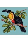 Kit ricamo "Tucano" E. Bradley