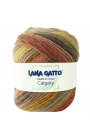 Lana Gatto Calgary