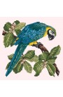 "MACAW" E. Bradley